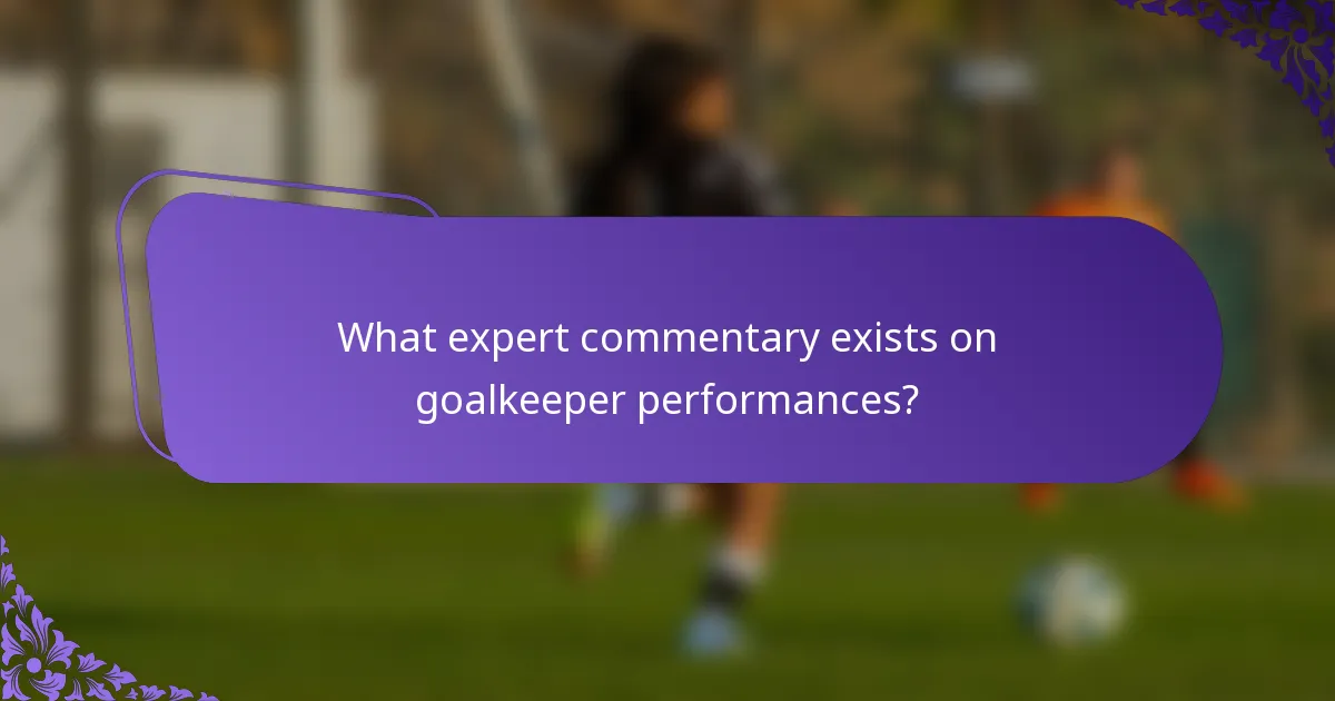 What expert commentary exists on goalkeeper performances?